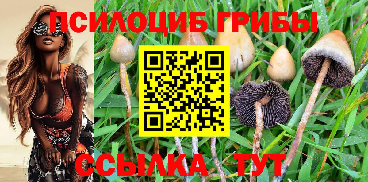 Канабис  Красноярск  Канабис  Экстази  Меф кристаллы  ГАШ  Купить наркотик  COCAIN  Вход с VPN 