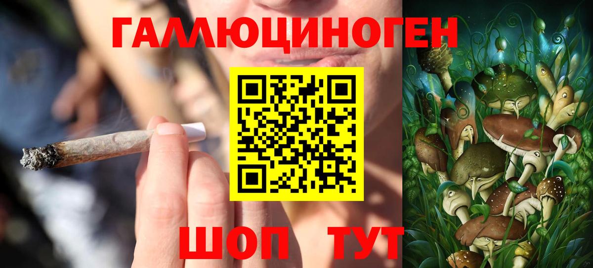 Галлюциногенные грибы Psilocybine cubensis Красноярск